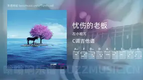 忧伤的老板 左小祖咒 吉他谱C调简单版