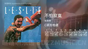 不怕寂寞吉他谱C调 张国荣 简单版