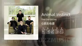 Animal Instinct The Cranberries 吉他谱G调简单版