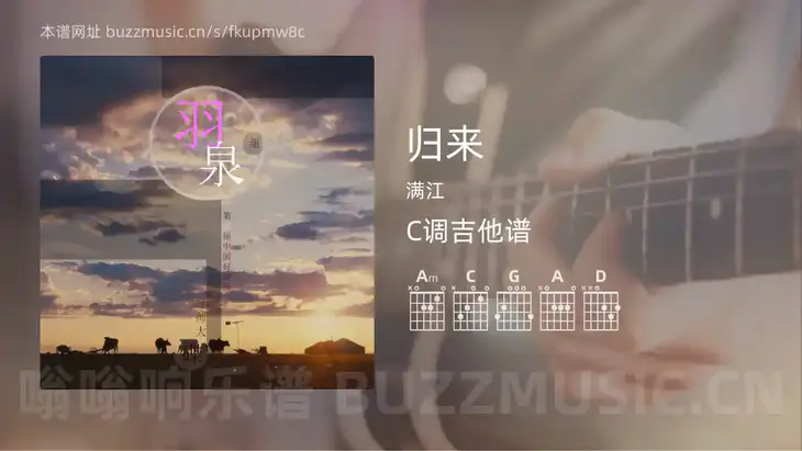 归来 满江 吉他谱C调简单版
