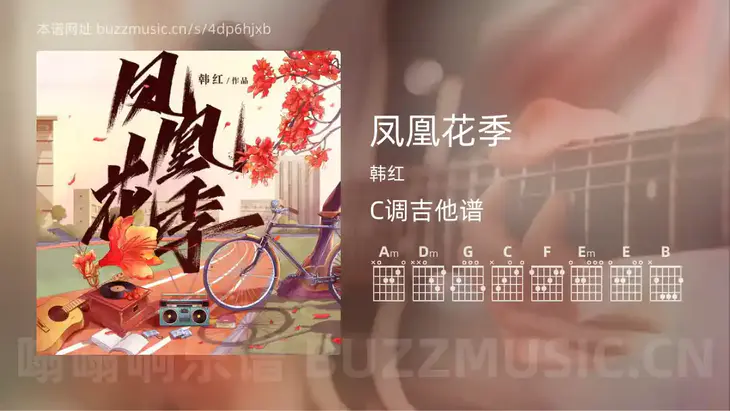 凤凰花季 韩红 吉他谱C调简单版