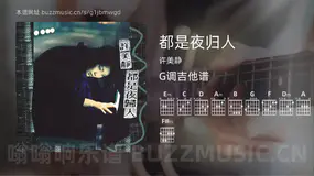 都是夜归人 许美静 吉他谱G调简单版