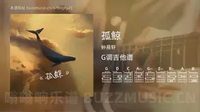 孤鲸吉他谱G调 钟易轩 简单版