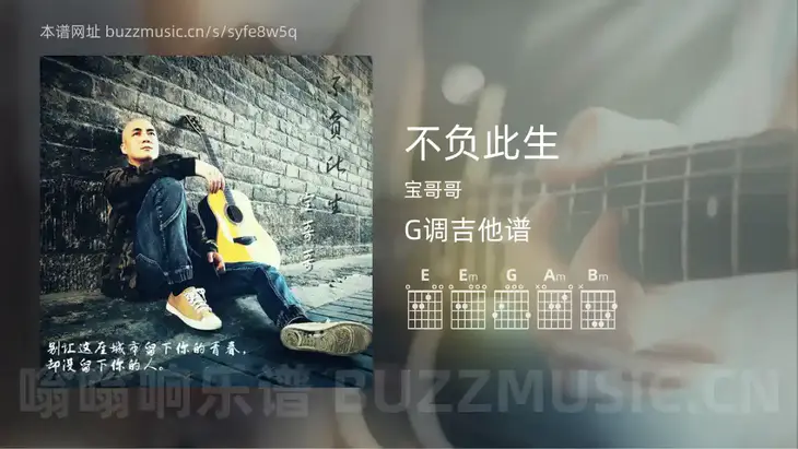 不负此生 宝哥哥 吉他谱G调简单版