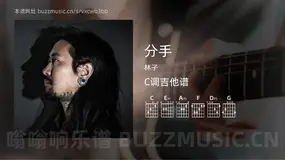 分手 林子 吉他谱C调简单版