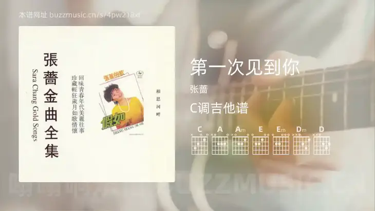 第一次见到你吉他谱C调 张蔷 简单版