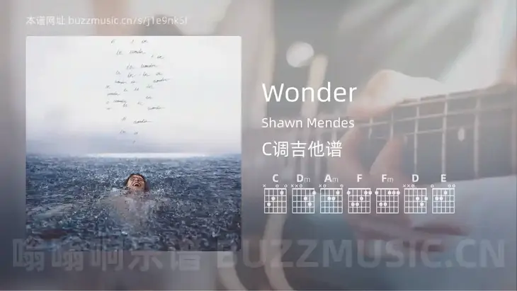 Wonder Shawn Mendes 吉他谱C调简单版