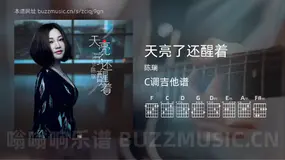 天亮了还醒着 陈瑞 吉他谱C调简单版