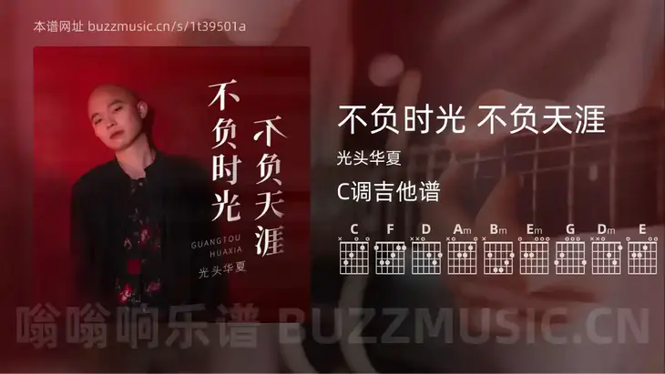 不负时光 不负天涯 光头华夏 吉他谱C调简单版