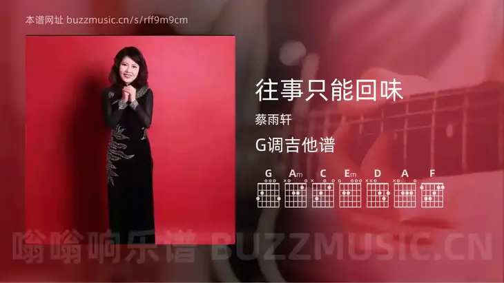 往事只能回味 蔡雨轩 吉他谱G调简单版