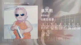 暴风雨 就是哈比 吉他谱G调简单版