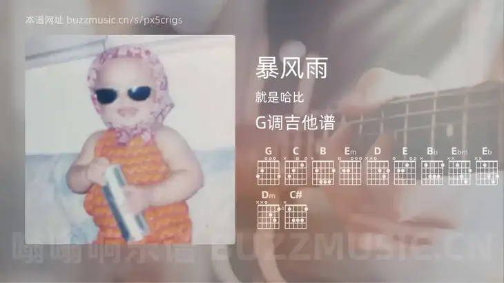 暴风雨 就是哈比 吉他谱G调简单版