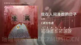 我在人间凑数的日子吉他谱C调 王然 简单版