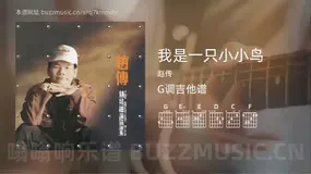 我是一只小小鸟吉他谱G调 赵传 简单版