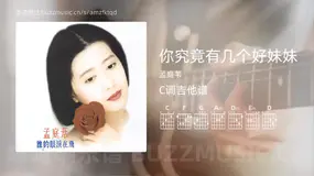 你究竟有几个好妹妹吉他谱C调 孟庭苇 简单版