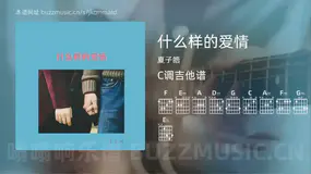 什么样的爱情 夏子皓 吉他谱C调简单版