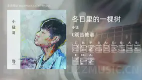 冬日里的一棵树吉他谱C调 小猛 简单版