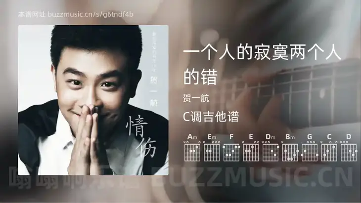 一个人的寂寞两个人的错 贺一航 吉他谱C调简单版