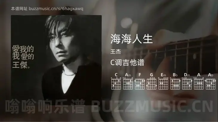 海海人生吉他谱C调 王杰 简单版