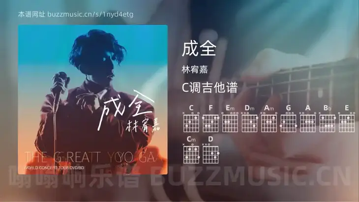 成全吉他谱C调 林宥嘉 简单版