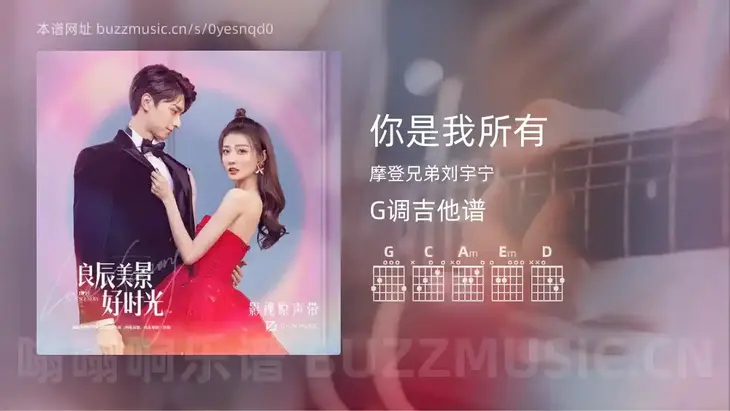 你是我所有 摩登兄弟刘宇宁 吉他谱G调简单版