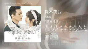 爱不由我 尤长靖 吉他谱G调简单版