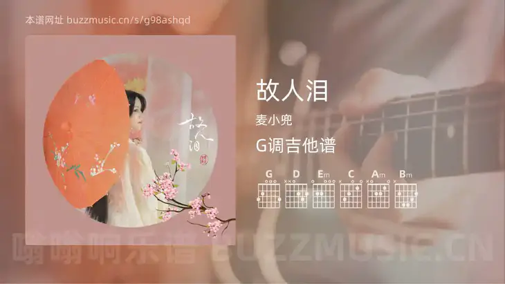 故人泪 麦小兜 吉他谱G调简单版