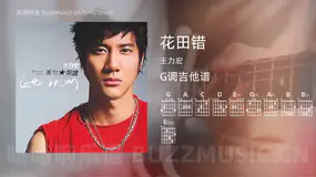 花田错 王力宏 吉他谱G调简单版