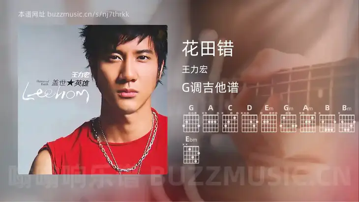 花田错 王力宏 吉他谱G调简单版