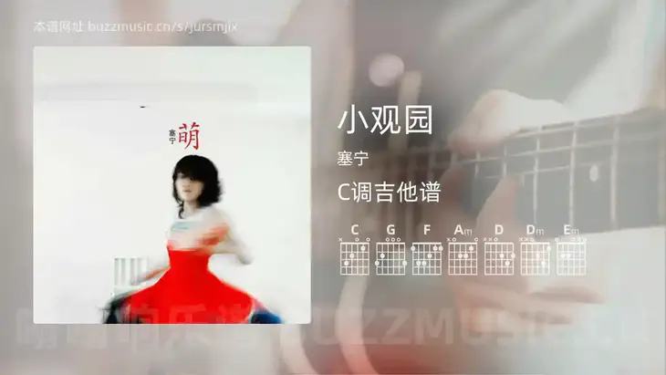 小观园 塞宁 吉他谱C调简单版