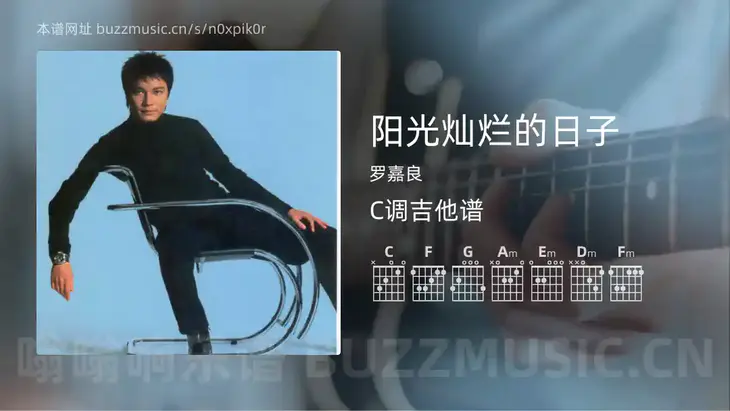 阳光灿烂的日子 罗嘉良 吉他谱C调简单版