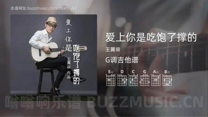 爱上你是吃饱了撑的 王翼焱 吉他谱G调简单版