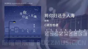 将你归还于人海 妍狗 吉他谱C调简单版