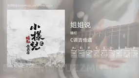 姐姐说 暗杠 吉他谱C调简单版