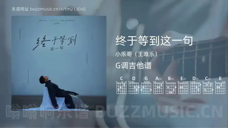 终于等到这一句 小乐哥(王唯乐) 吉他谱G调简单版