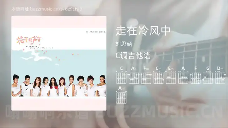 走在冷风中吉他谱C调 刘思涵 简单版