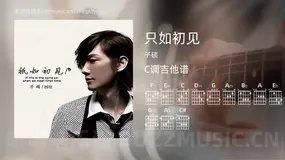 只如初见 子硕 吉他谱C调简单版