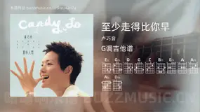 至少走得比你早 卢巧音 吉他谱G调简单版
