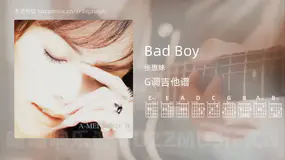Bad Boy 张惠妹 吉他谱G调简单版