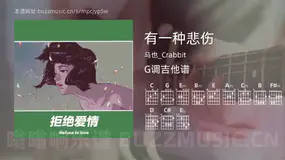 有一种悲伤 马也_Crabbit 吉他谱G调简单版