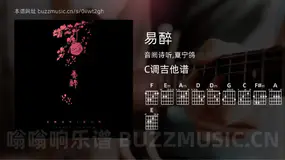 易醉 音阙诗听,夏宁鸽 吉他谱C调简单版