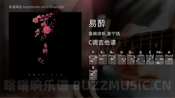 易醉 音阙诗听,夏宁鸽 吉他谱C调简单版