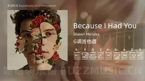 Because I Had You Shawn Mendes 吉他谱G调简单版