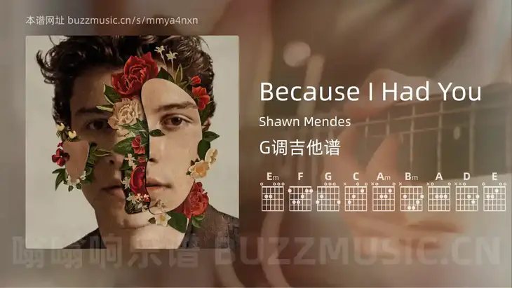 Because I Had You Shawn Mendes 吉他谱G调简单版