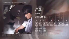 洋葱 杨宗纬 吉他谱C调简单版