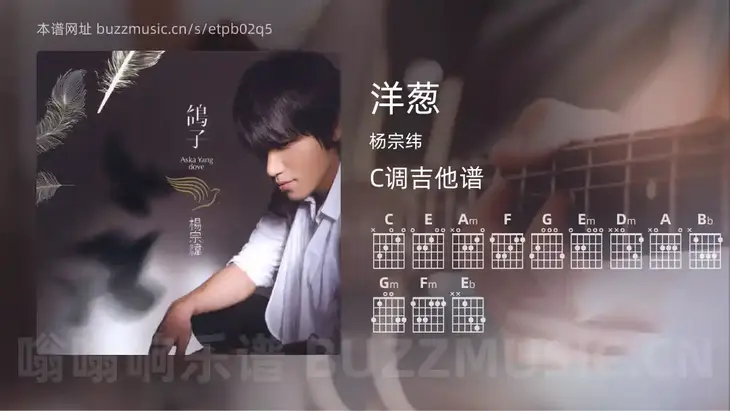洋葱 杨宗纬 吉他谱C调简单版