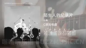 陌生人的纪录片 小海 吉他谱C调简单版