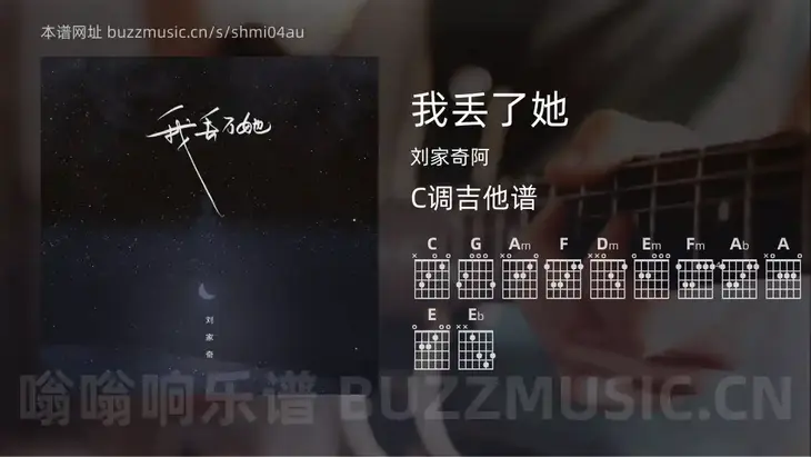 我丢了她 刘家奇阿 吉他谱C调简单版