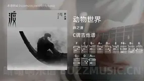 动物世界 薛之谦 吉他谱C调简单版
