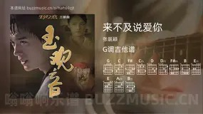 来不及说爱你 张靓颖 吉他谱G调简单版
